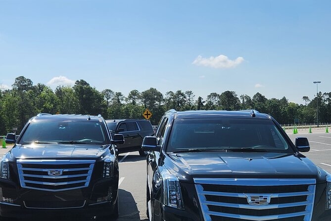 Disney Hotels Private Van Transfer to/from Orlando Intl Airport - Who Should Consider This Service?