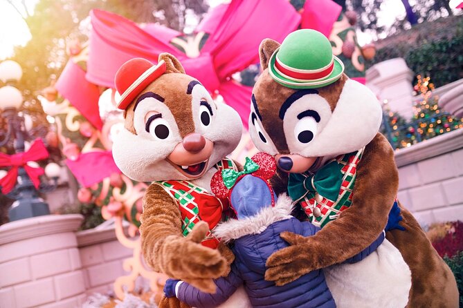 Disneyland® Paris 1 Day Ticket with Transport from Paris - Cost Analysis and Value for Money