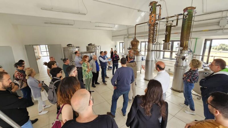 Distilleria Alma- Rum Distilery Guided Tour & Tasting - The Sum Up: An Authentic and Educational Spirit Experience in Sicily