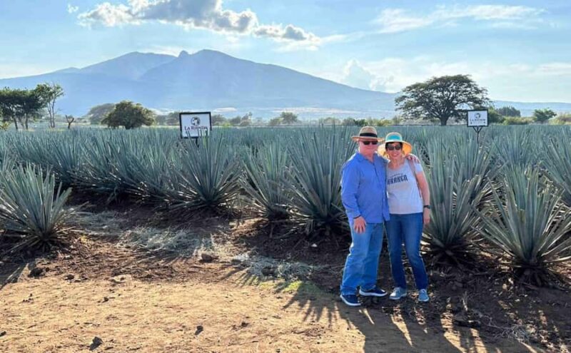 Distillery Entry Tickets and Tastings in Tequila Jalisco - Who Should Consider This Distillery Ticket
