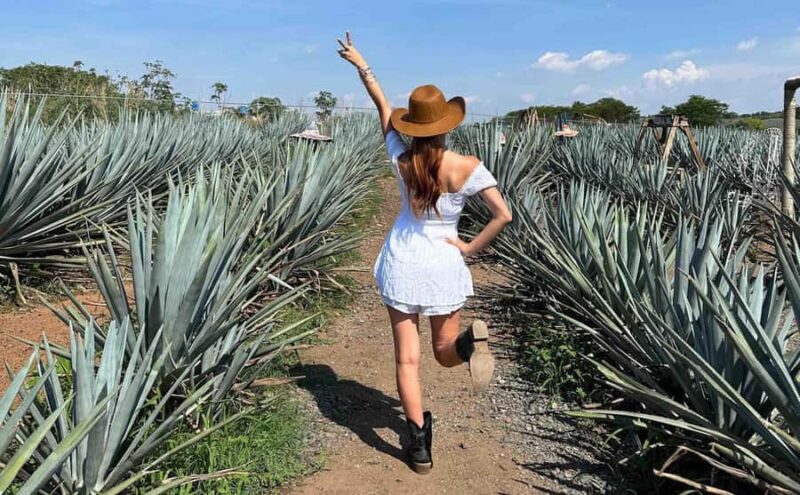 Distillery Entry Tickets and Tastings in Tequila Jalisco - The Sum Up: An Authentic and Flexible Tequila Experience