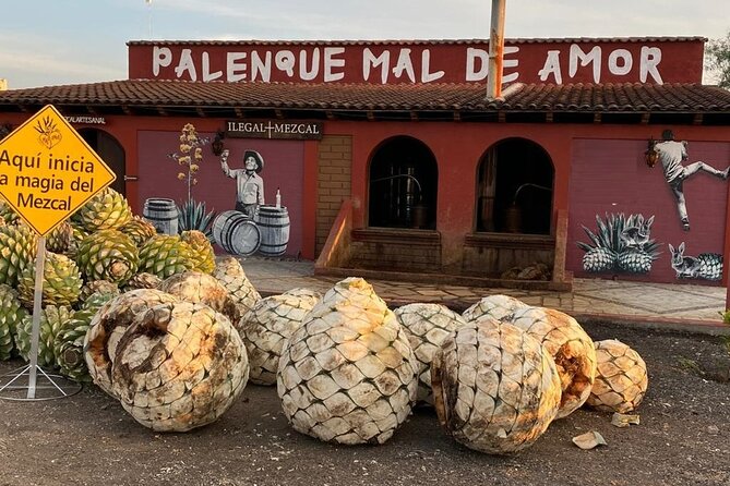 Distillery Tour and Agave Fields by Mal de Amor Mezcal - Explore the Authentic Mezcal Experience in Oaxaca City