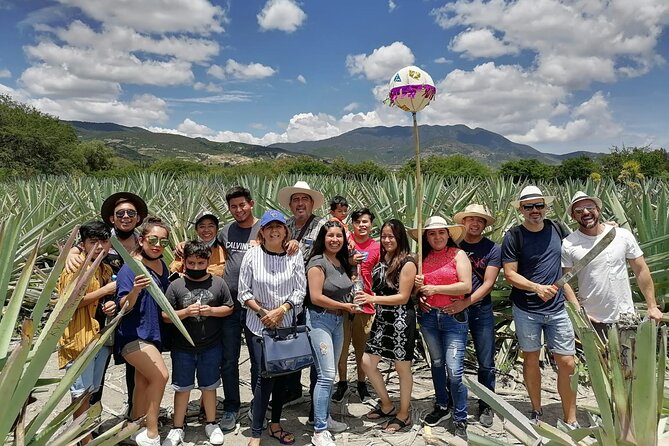 Distillery Tour and Agave Fields by Mal de Amor Mezcal - Visiting the Palenque Mal De Amor: A Look into Mezcal Production