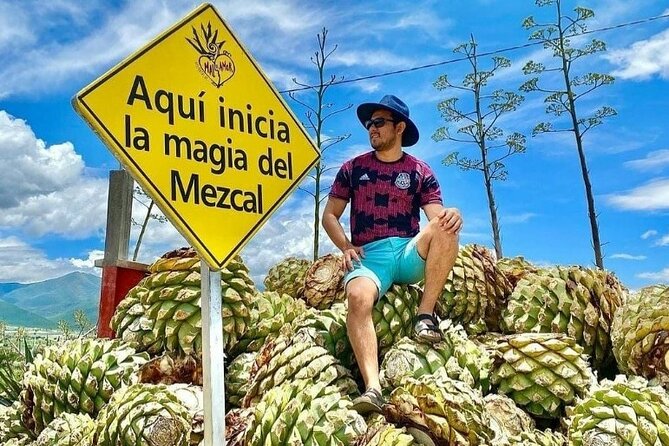 Distillery Tour and Agave Fields by Mal de Amor Mezcal - Extensive Mezcal Tasting and Educational Guidance