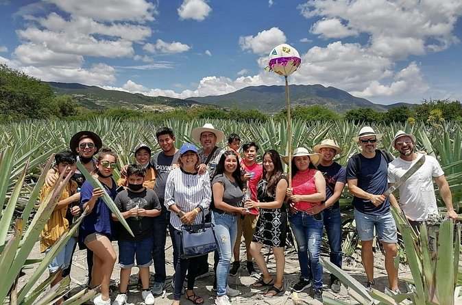 Distillery Tour and Agave Fields by Mal de Amor Mezcal - Whats Included and What to Consider