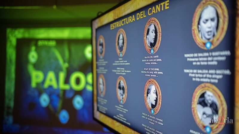 Dive In and Discover: Flamenco in an Interactive Journey - The Guide’s Role in Making Flamenco Accessible