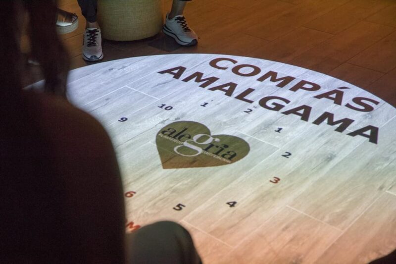 Dive In and Discover: Flamenco in an Interactive Journey - Timing and How It Fits with Flamenco Shows