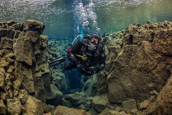 Dive the Divide: Silfra Fissure Scuba Tour | Reykjavik Pickup - Diving Gear and Safety Requirements
