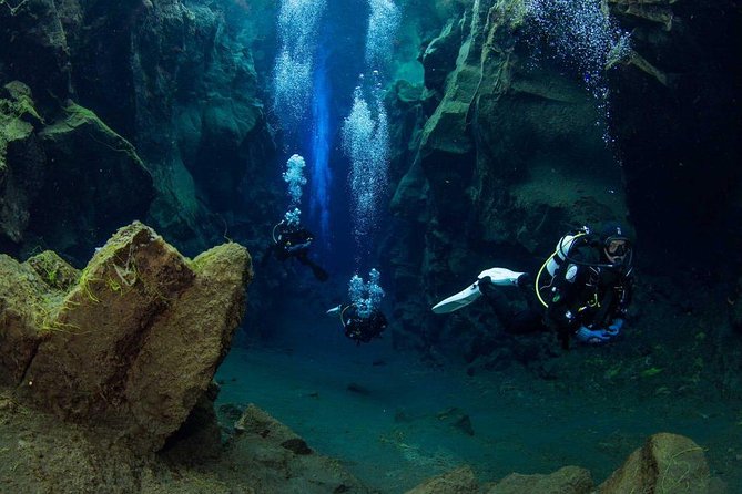 Dive the Divide: Silfra Fissure Scuba Tour | Reykjavik Pickup - Reviews and Feedback Highlights