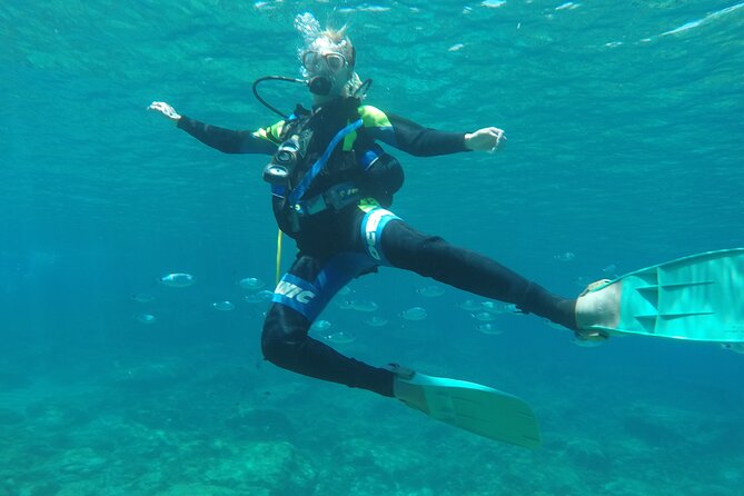 Dive The Rock (Scuba Diving Experience in Protaras) - Why This Tour Is Highly Rated