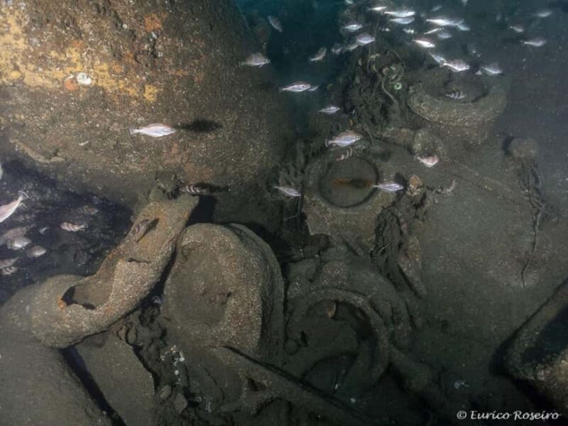 Dive the U-boat 1277 - the Most Iconic Dive in Portugal - Dive into Portugal’s Most Iconic Wreck: U-Boat 1277