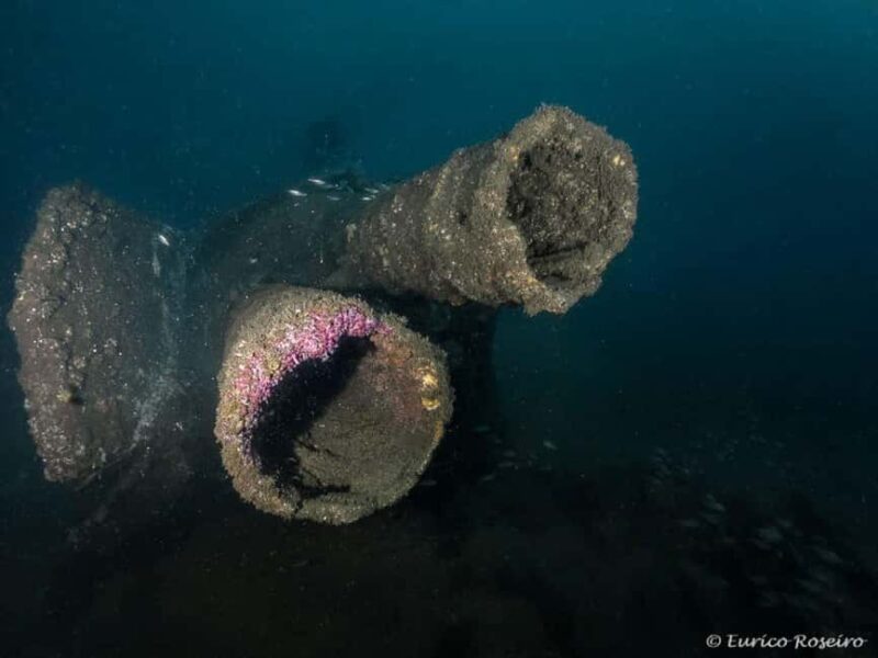 Dive the U-boat 1277 - the Most Iconic Dive in Portugal - Speedboat Transfers to the Dive Sites
