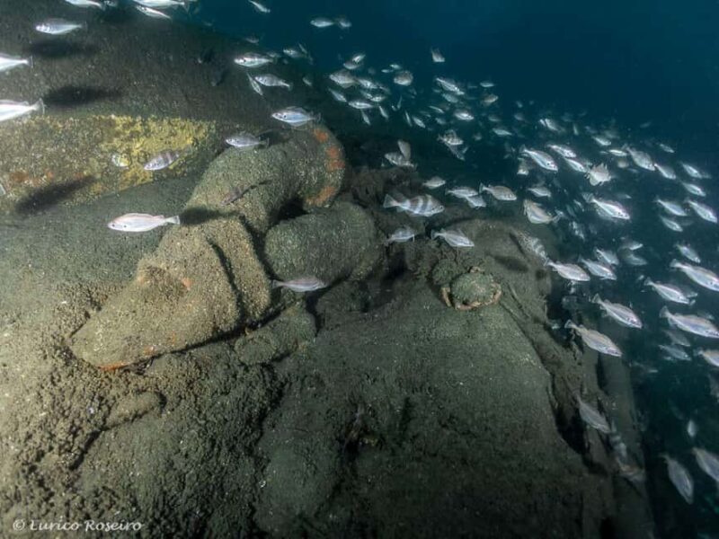 Dive the U-boat 1277 - the Most Iconic Dive in Portugal - Logistics: From the Marina to the Water and Back