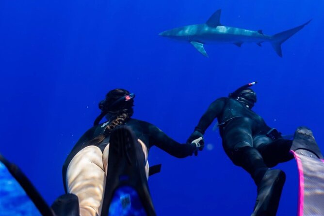 Dive with sharks in Oahu Hawaii: Educational Tour (No cage) - Frequently Asked Questions