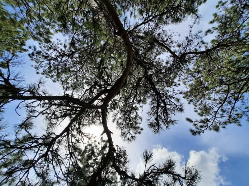 Divibare: Follow the Sun Hiking Tour - The Trail to Kraljev Sto and Scenic Photo Stops