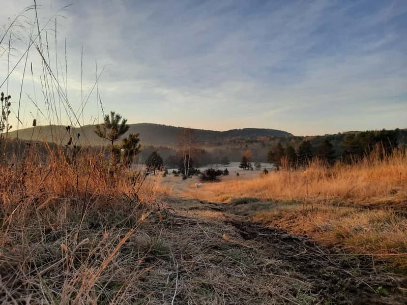Divibare: Follow the Sun Hiking Tour - Climbing Toward Velika Plea and the Ridge to Crni Vrh