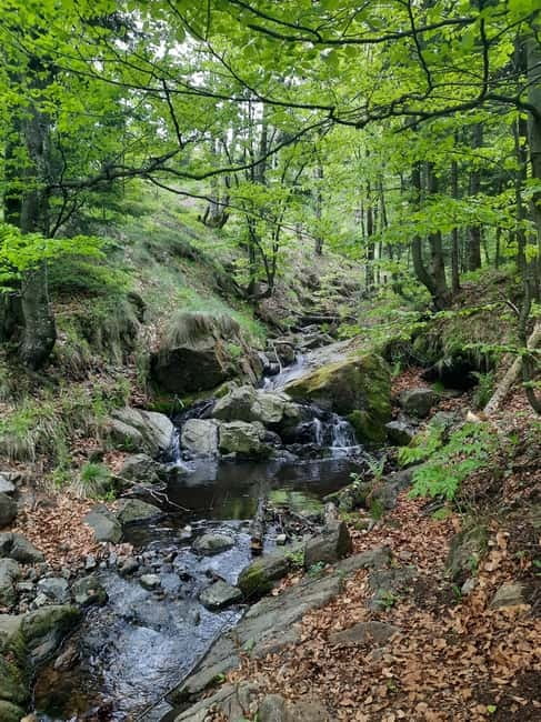 Divibare: Follow the Sun Hiking Tour - Practical Details and What to Bring