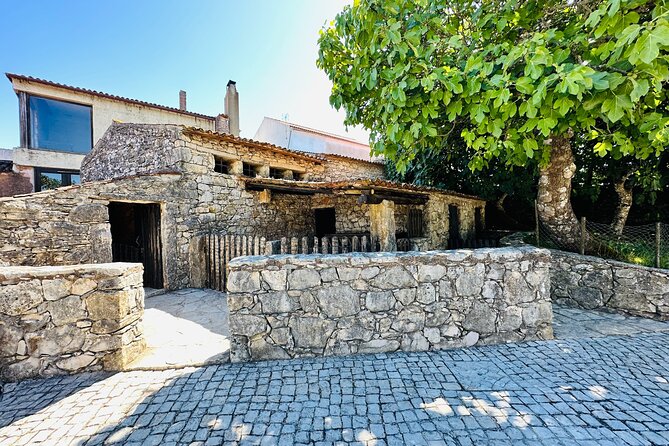 Divine Journey : Fatima Full Day Private Tour - Flexibility and Booking Considerations