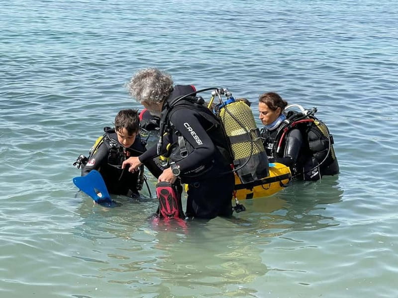 Diving - Learning the Basics Before the Dive