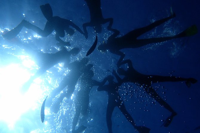 Diving Adventures - Boat and Shore Diving - Meeting Point at Paradise Divers in Callao Salvaje