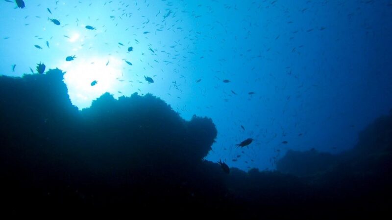 Diving at Lanzarote - 2 guided dives for certified divers - The Experience of Small-Group Diving at Lanzarote