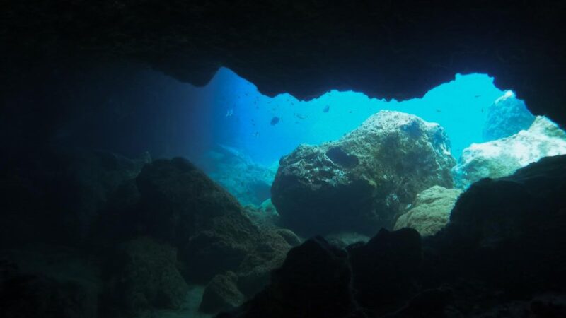 Diving at Lanzarote - 2 guided dives for certified divers - Pricing and Value for Certified Divers