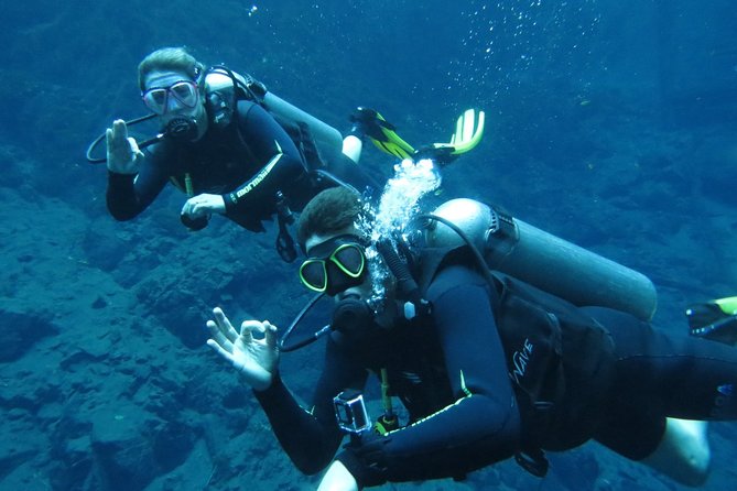 Diving Baptism - The Starting Point for Your Underwater Adventure in Malaga