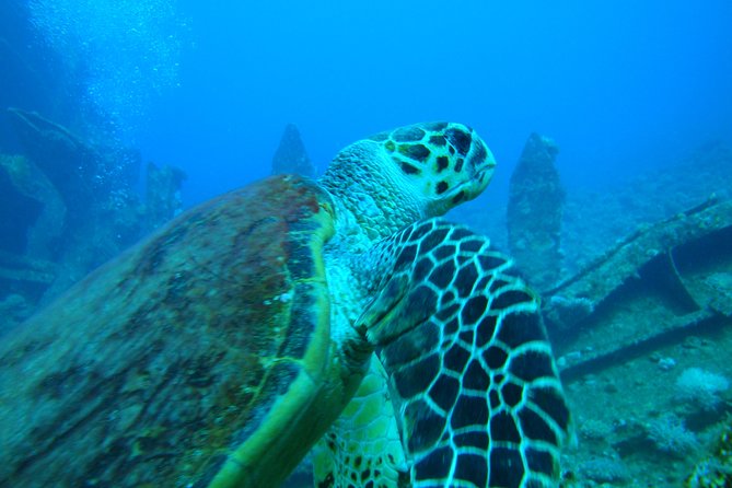 Diving Baptism - Final Thoughts on the Malaga Diving Baptism