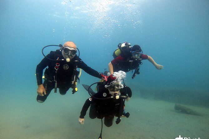 Diving baptism in the Marine Reserve of Cabo Tiñoso - The Guides and Instructors: Professional and Friendly