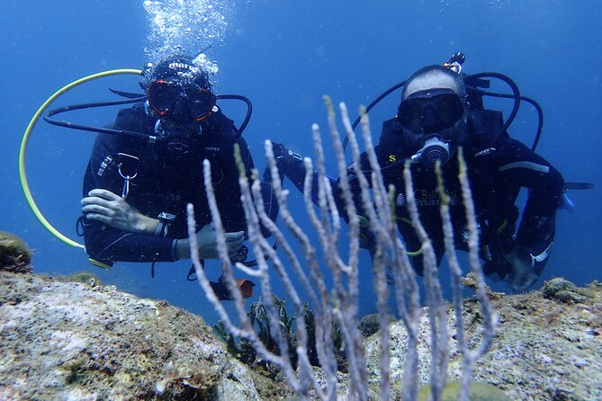 Diving baptism in the Montgrí Natural Park - Flexibility and Cancellations