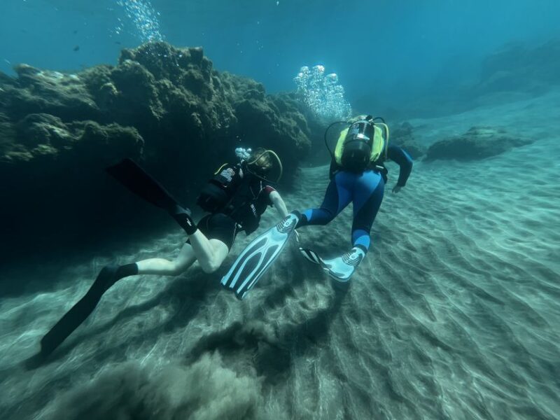 Diving course for beginners in turtle area Tenerife - Photos and Videos: Memories Made Easy