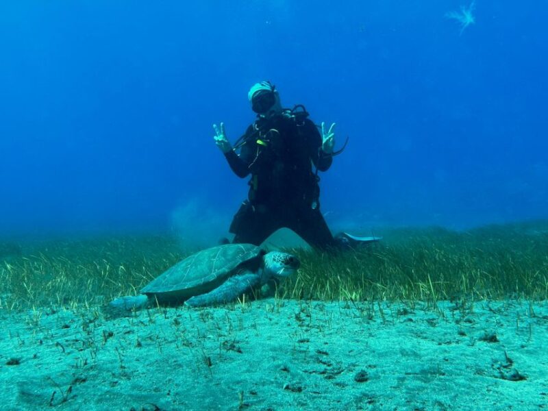 Diving course for beginners in turtle area Tenerife - Practical Considerations and Physical Requirements