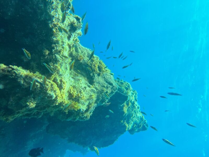 Diving course for beginners in turtle area Tenerife - What’s Not Included and Additional Recommendations