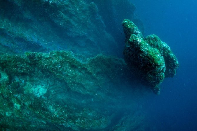 Diving day tour with 2 dives - Customer Feedback and Highlights