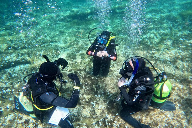 Diving experience in Malta - Key Points