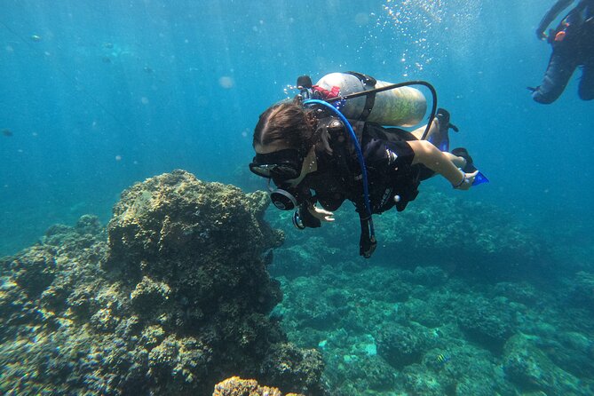 Diving exploration for beginners in Los Arcos de Mismaloya - Exciting Introduction to Underwater Discovery in Mismaloya