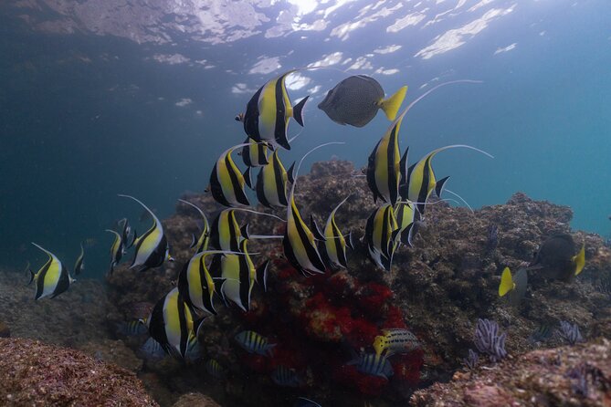 Diving exploration for beginners in Los Arcos de Mismaloya - The Return Journey and Scenic Views from the Boat