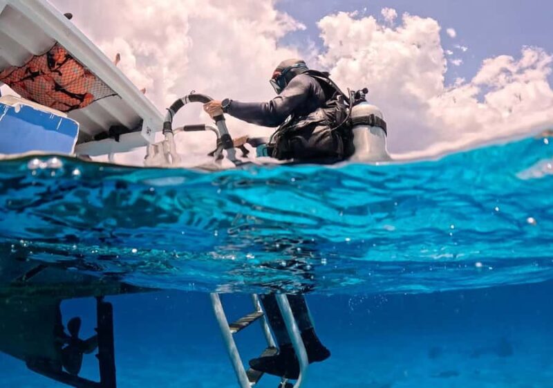 Diving for Beginners in Cozumel: Your First VIP Experience - The Unique Location of Reef Collective in Cozumel