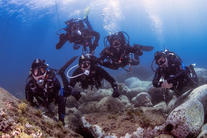 Diving guided by the Diving Center (with full equipment) - Key Points