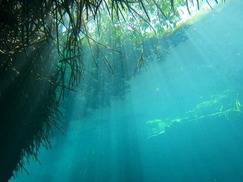 DIVING IN MAYAN CENOTES; THE LARGEST AQUIFER IN THE WORLD - Equipment, Safety, and Environmental Considerations