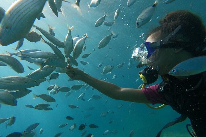 Diving with optional Pick Up - Drop Off from Antalya - Included Amenities and Practical Details