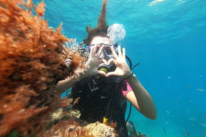 Diving with optional Pick Up - Drop Off from Antalya - Final Thoughts on the Kemer Scuba Diving Tour