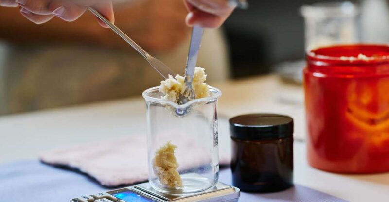 DIY organic plants cosmetics Workshop - Key Points