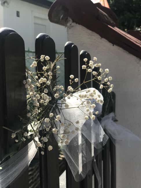 Djerdap Gorge and Golubac Fortress Private Tour - Local Experiences: Wine, Berries, and Serbian Cuisine