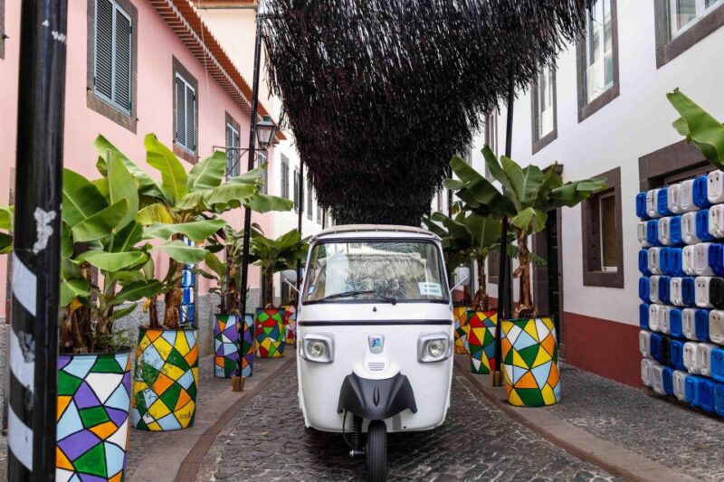 Do Funchal - Câmara de Lobos Fishing Village Tuk Tuk Tour - Local Innovations and Sustainable Projects