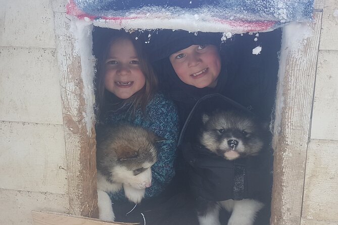 Dog Sled Adventure - The Guides: Knowledgeable and Friendly Hosts