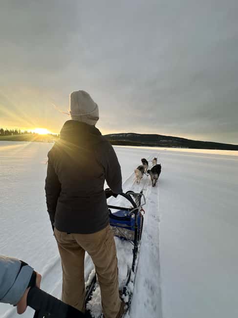 Dog sled tour with overnight stay in central Sweden/Härjedalen - Key Points