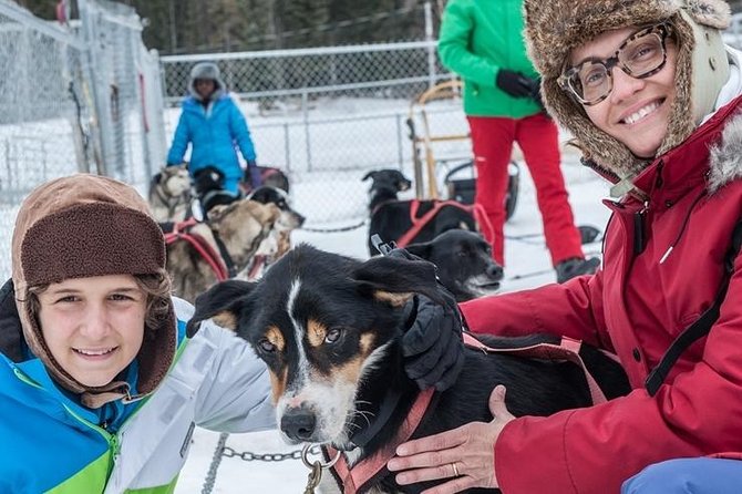 Dog Sledding - Subarctic Wilderness Tour - Explore the Stunning Subarctic Wilderness on a Dog Sled Tour in Alaska