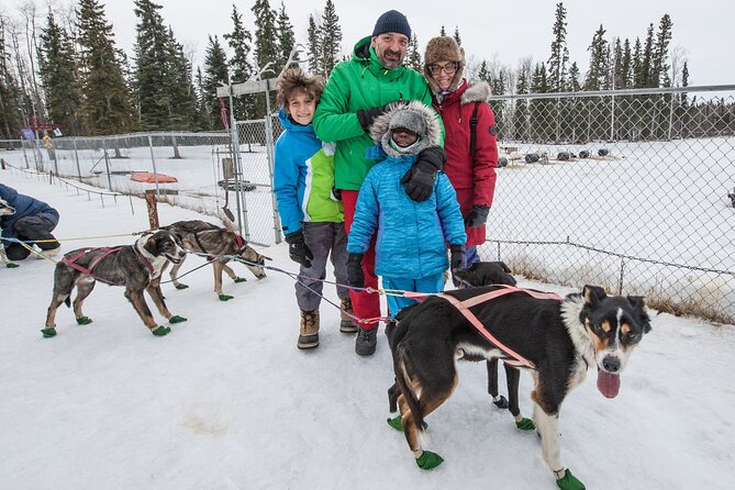 Dog Sledding - Subarctic Wilderness Tour - The 10-Mile Scenic Sled Ride Through Woods and Tundra