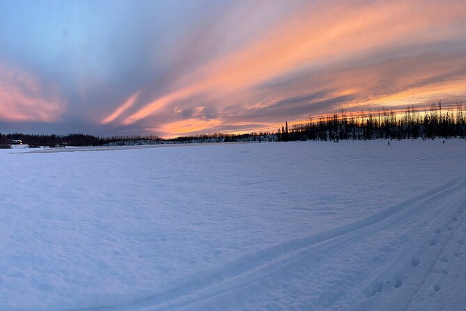 Dog Sledding with Alaskan Huskies - Traverse Iditarod Trails and Spot Denali Views